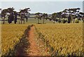 Footpath west of Toddington, Bedfordshire