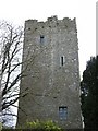 S3463 : Clomantagh (or Croomantagh) Castle by dougf