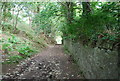 Track through the woods below Conwy Mountain