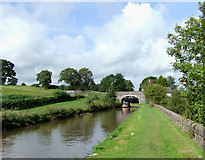 SJ9453 : Caldon Canal at Hazelhurst Junction, Staffordshire by Roger  D Kidd