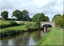SJ9453 : Caldon Canal at Hazelhurst Junction, Staffordshire by Roger  D Kidd