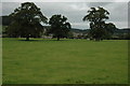 Uley viewed across fields