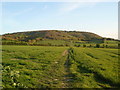 Wainhill from Bledlow