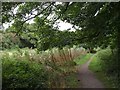 Path on Hackney Marshes