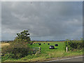 Silage Bales beside B778