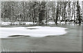 Frozen lake in The Lawn park