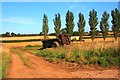 Farm Track to Trenholme House