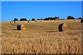 Field Near Beliack Plantation