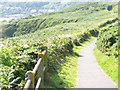 Coastal Path, East of Rotherslade