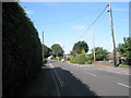 Late summer in Curdridge Lane