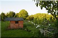 Snitterfield allotments