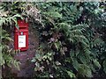 Postbox near Hayford Hall