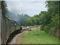 Passing West Hoathley station site behind 5519