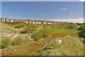 Scrubland - Rhoose Point