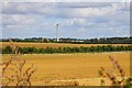 SP4616 : Arable field and hedgeline at Upper Campsfield Farm by Steve Daniels