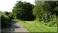 Footpath by Whiddon Valley Woods