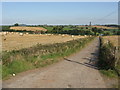 SO6862 : Farmland At Burton Court's Access Track by Peter Whatley