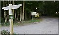 Ditcham Park School driveway