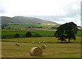 Hay bales at Cormiston