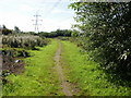 Path south from Blacksmiths Way roundabout, Coedkernew