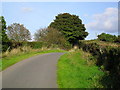 Ballykine Road, Cluntagh