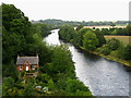 NY4654 : River Eden, Wetheral. by David Rogers