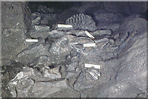 SX7466 : Bone Heap in Joint Mitnor Cave, Buckfastleigh by John Rostron