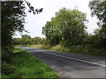 S6801 : R684 road out of Dunmore East by David Hawgood