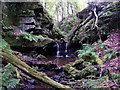 Waterfall on Dovecrag Burn south of  Campville