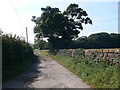 Farm lane leading to Barn Farm, Burton