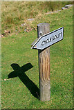SK1695 : Cycle Route Sign by David Lally