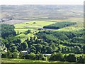 Woodland, pastures and moorland above Allenheads