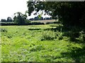 Bridleway, Winterborne Kingston