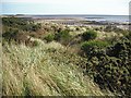 Links, Monifieth