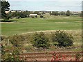 Monifieth Links