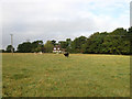 Ham Gate Field