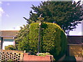 An old Victorian-style lamp post in a front garden (yet again!)