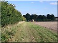 Field headland, Wilton