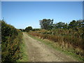 Track from Thornemead towards Landacre