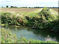 Field margin by the River Ray, Blunsdon