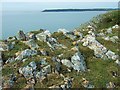 View towards Oxwich Point from West Cliff