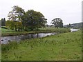 River Strule, Moyle Glebe