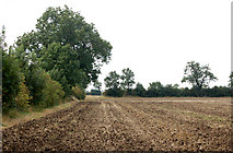 SP4163 : Farmland south of Model Village, Long Itchington by Andy F