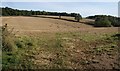 Fields above Mudly Bottom