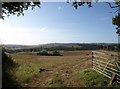 Field above Mudly Bottom