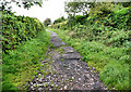 Footpath to Penmaen Burrows