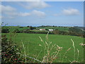 Field above Bryn - y - Maen Farm