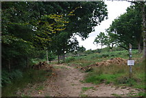 TQ5734 : Tunbridge Wells Circular Path - Eridge Park by N Chadwick