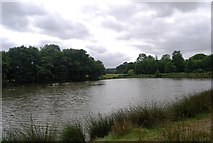 TQ5734 : Small Lake by the Tunbridge Wells Circular Path, Eridge Park by N Chadwick