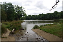 TQ5735 : Outlet to a small lake on the edge of Eridge Park by N Chadwick